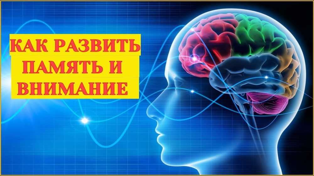 Как помочь женщине улучшить память и внимание: эффективные тренировки и полезные советы