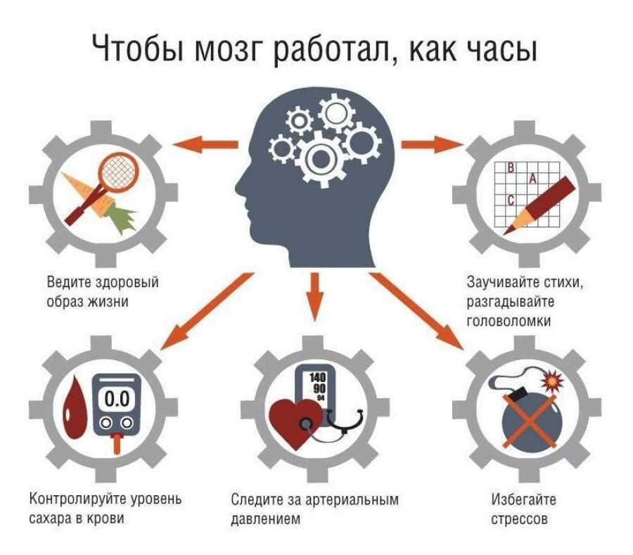 Важность сохранения памяти и контроля веса для поддержания здоровья мозга