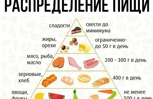 Как поддерживать здоровый пищеварительный процесс у женщин: важность правильного питания и рекомендации