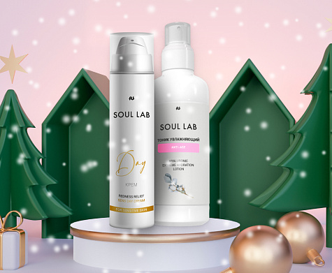 Новогодний набор soul lab. Крем дневной +Тоник 