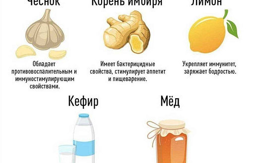 Как поддержать и укрепить работу иммунной системы?