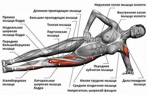 Секреты укрепления тела и сжигания жира: как развить сильные мышцы