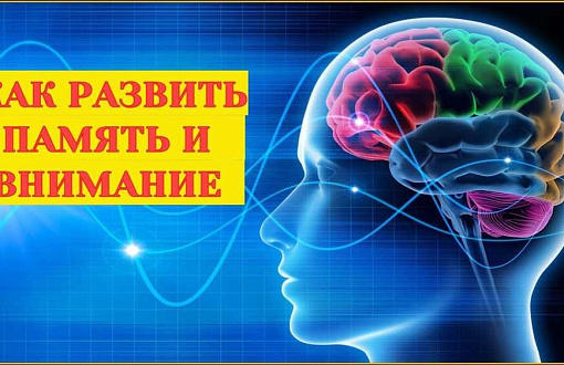 Как помочь женщине улучшить память и внимание: эффективные тренировки и полезные советы