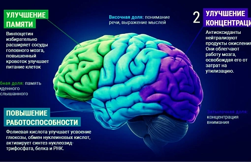 Взаимосвязь между физическим здоровьем и памятью у женщин: как улучшить их состояние?