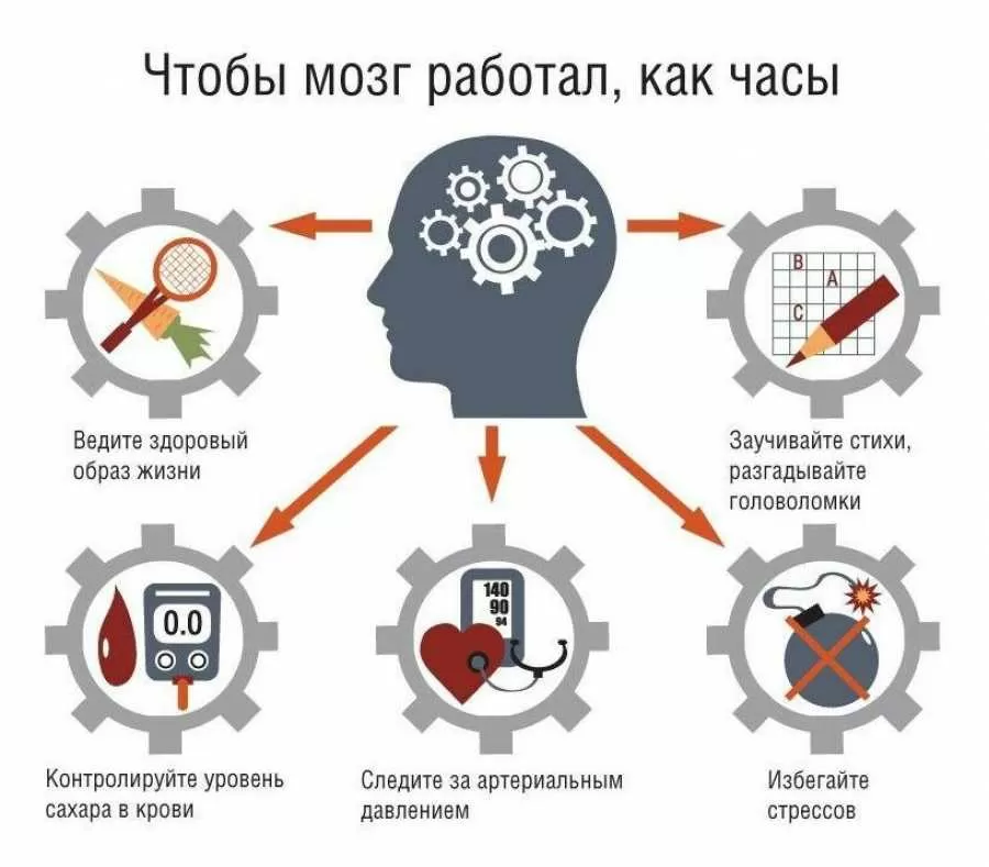 Важность сохранения памяти и контроля веса для поддержания здоровья мозга